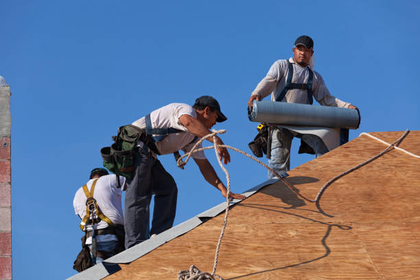 Best Roof Leak Repair  in Breckenridge Hills, MO